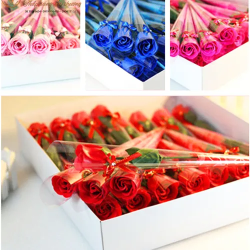 Hoa hồng sáp - cây 1 bông nhỏ