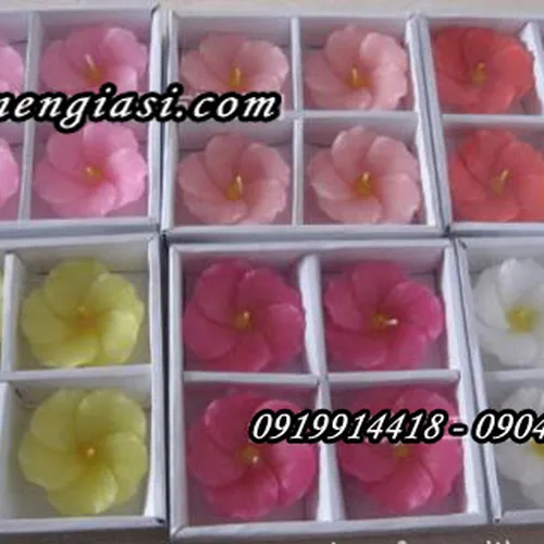 Nến nổi thả nước ”hoa mai” / 4 cái