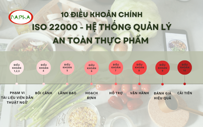 Cấu trúc ISO 22000 gồm những điều khoản nào?