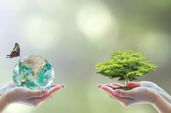 TƯ VẤN SEDEX - SMETA