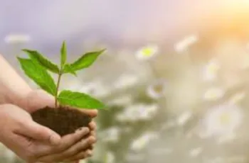 ISO 14001 CONSULTING