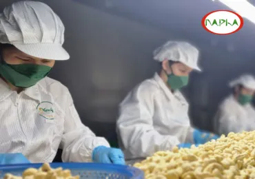 NAPHA TƯ VẤN ĐÀO TẠO ISO 22000:2018 CHO CÔNG TY NEW STAR TẠI TỈNH BÌNH PHƯỚC