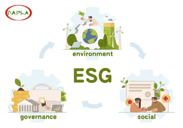 ESG LÀ GÌ - CÁC NGUYÊN TẮC TRIỂN KHAI ESG (IWA 48:2024) VỪA ĐƯỢC ỦY BAN ISO BAN HÀNH VÀO THÁNG 11 NĂM 2024