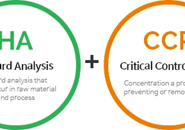 Biểu Đồ Quyết Định Hình Cây Để Xác Định Các Điểm Tới Hạn (CCP) khi áp dụng tiêu chuẩn HACCP