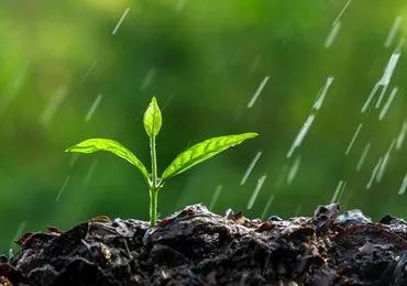 ISO 14001: 2015 Hệ Thống Quản Lý Môi Trường- Tư Vấn Hướng Dẫn Áp Dụng