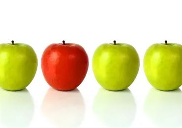 Phân biệt tiêu chuẩn ISO 9000:2015 với tiêu chuẩn được chứng nhận ISO 9001:2015