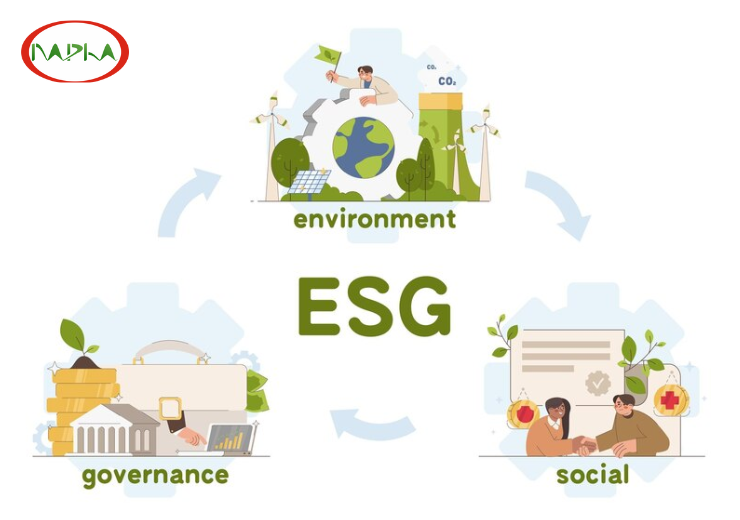 IWA 48:2024 - HƯỚNG DẪN TRIỂN KHAI ESG ĐƯỢC ISO BAN HÀNH THÁNG 11/2024