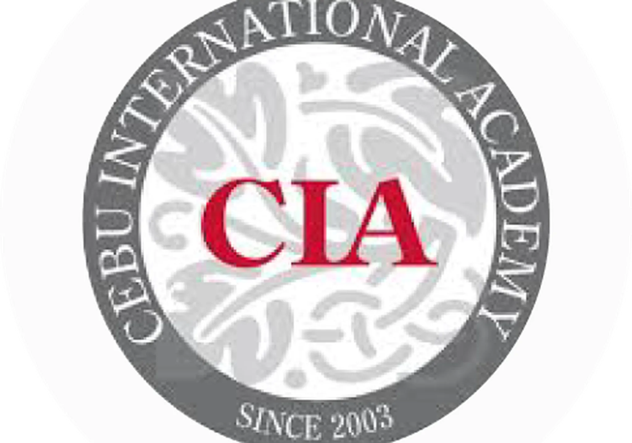 Khóa học IELTS của trường CIA chất lượng thế nào? VNPHIL