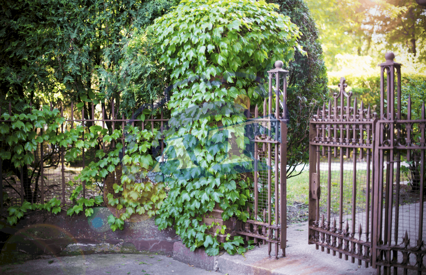 Cổng rào sắt hộp đẹp Cổng rào sắt hộp đẹp