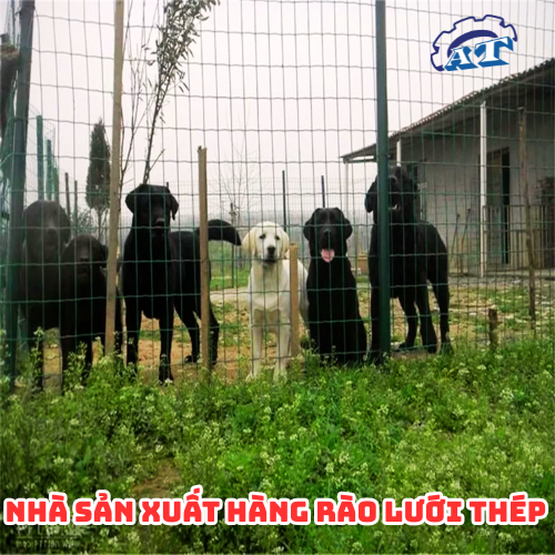 Xưởng Gia Công Hàng Rào Lưới Thép Tại TPHCM. Xưởng Gia Công Hàng Rào Lưới Thép Tại TPHCM.