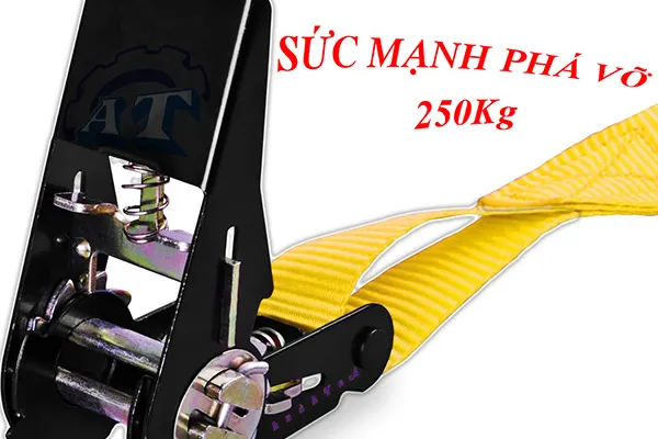 Dây Chằng Hàng Tăng Đơ Cảo Đen 25mm
