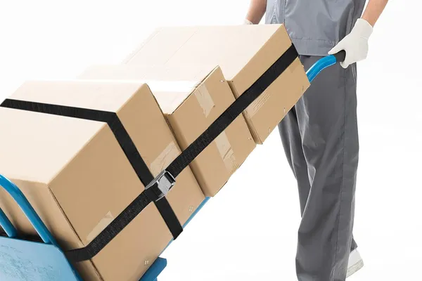 Dây Chằng Hàng Khóa Cam