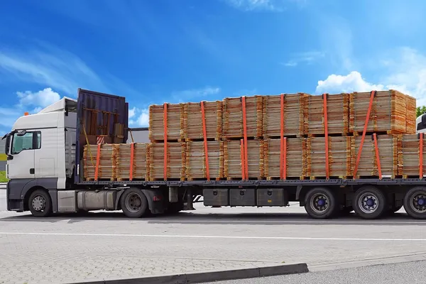 Dây tăng đơ bản 50mm tải trọng 5 tấn