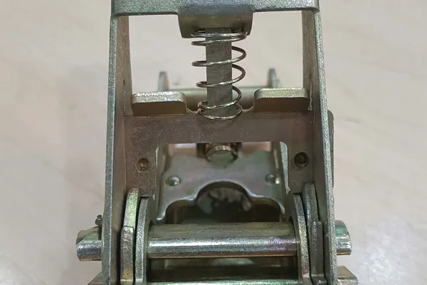 Dây Chằng Hàng 25mm