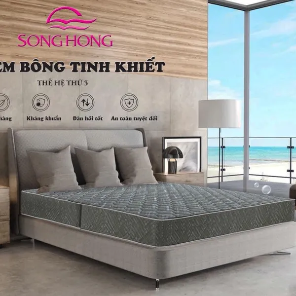 Đệm Thế Hệ 3 Gấp đôi