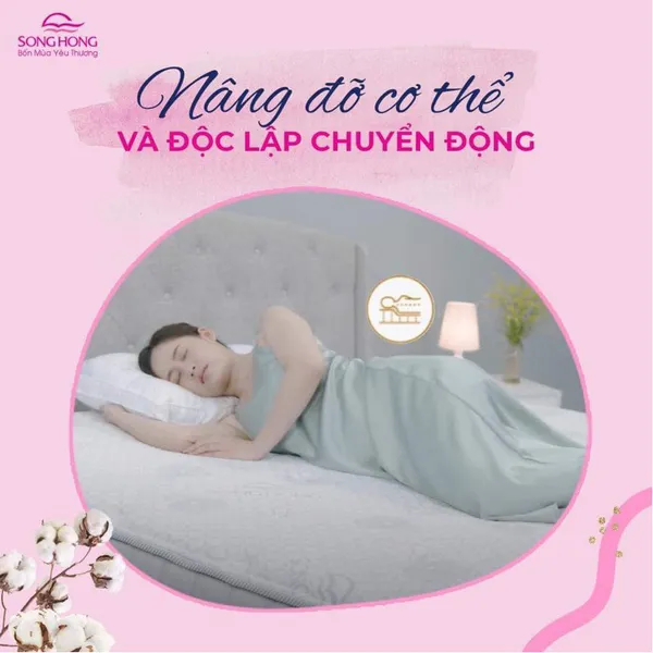 Đệm Back Essential
