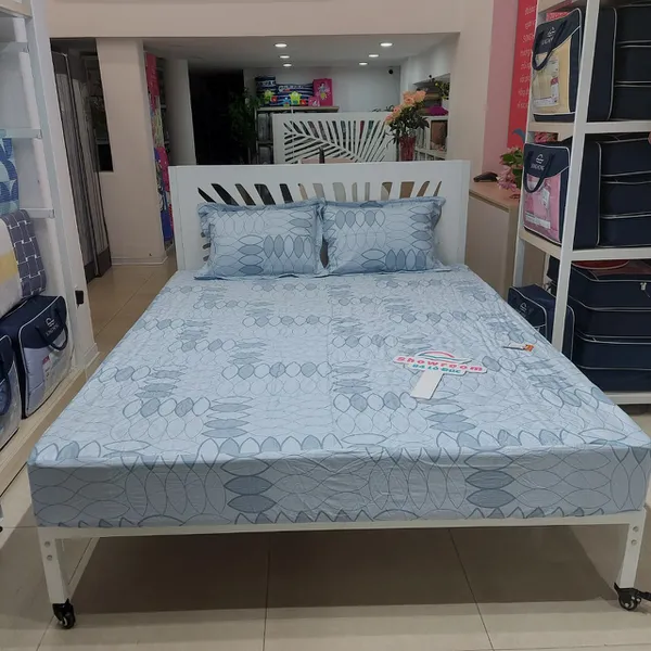 Bộ ga chun BC23 074