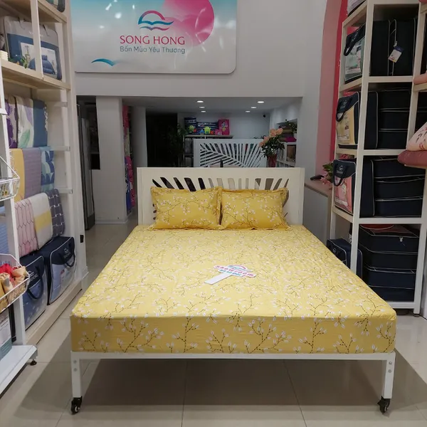 Bộ ga chun BC23 076