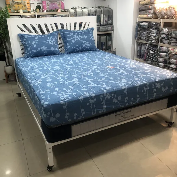 Bộ ga chun BC23 080