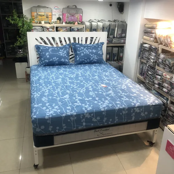 Bộ ga chun BC23 080