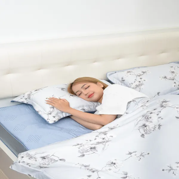 Bộ chăn gối cao cấp Sông Hồng SH_UT23 028
