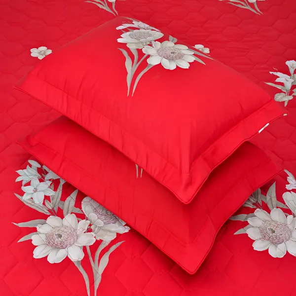 Bộ sản phẩm Sông Hồng SH_BC23 086