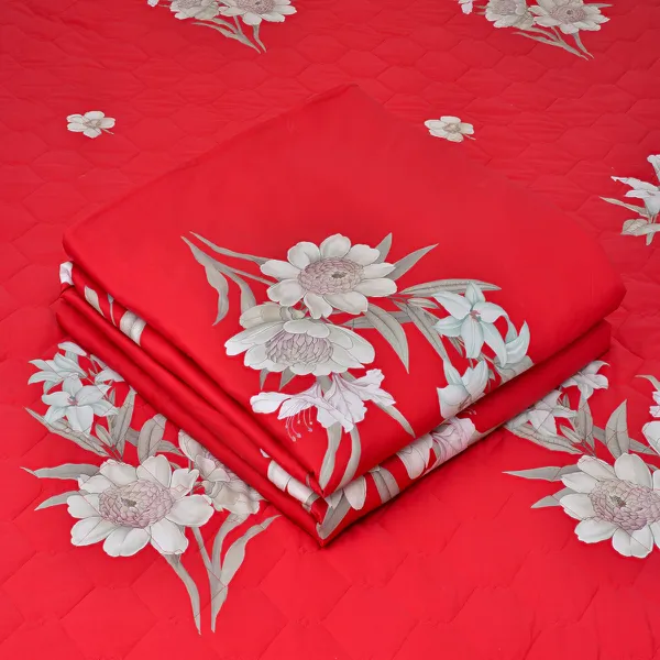 Bộ sản phẩm Sông Hồng SH_BC23 086