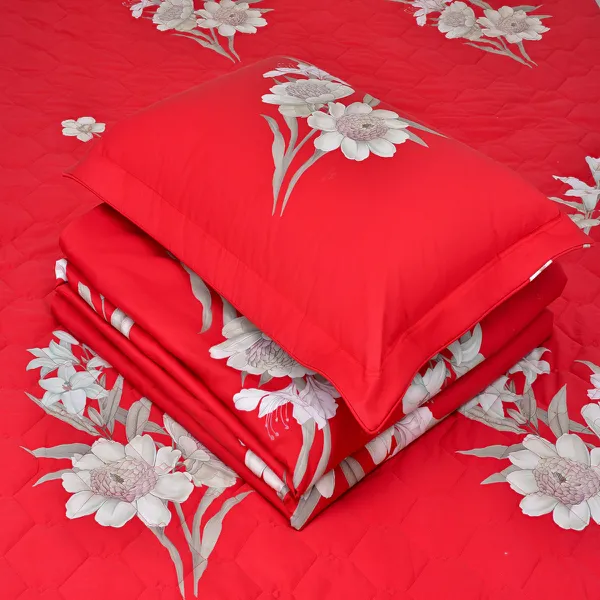Bộ sản phẩm Sông Hồng SH_BC23 086