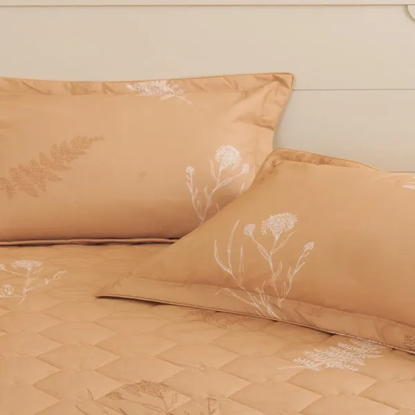 Bộ sản phẩm Sông Hồng SH_BC24 202