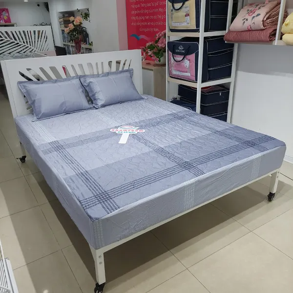 Bộ ga chun BC23 071
