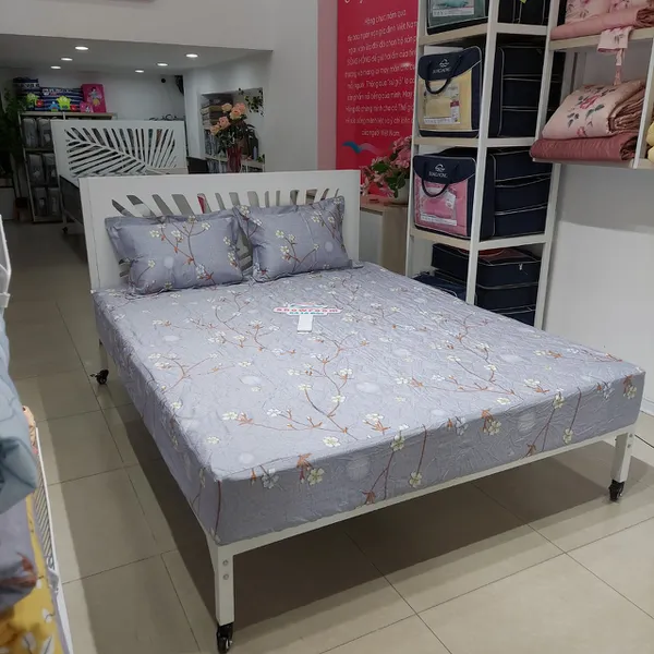 Bộ ga chun BC23 075