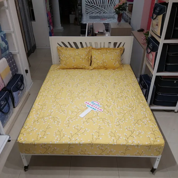 Bộ ga chun BC23 076