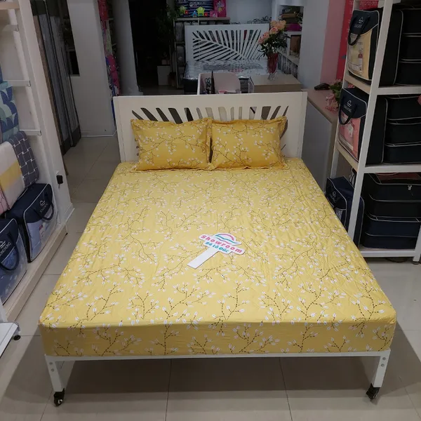 Bộ ga chun BC23 076