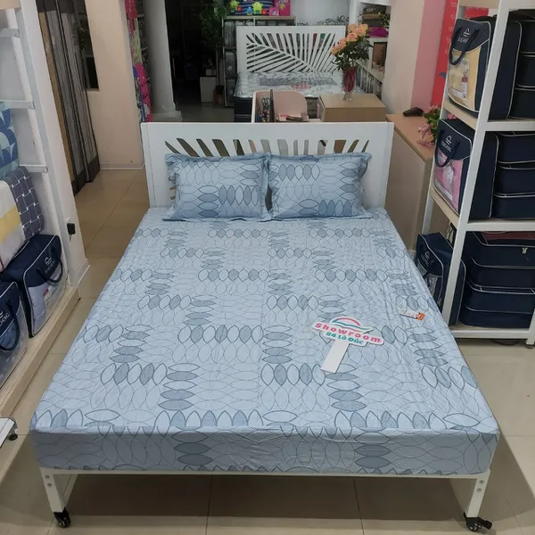 Bộ ga chun BC23 074