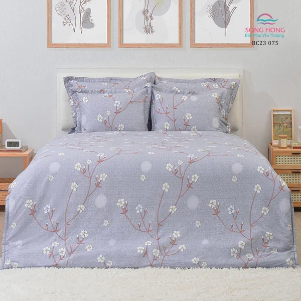 Bộ sản phẩm Sông Hồng SH_BC23 075