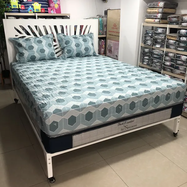 Bộ ga chun BC23 079