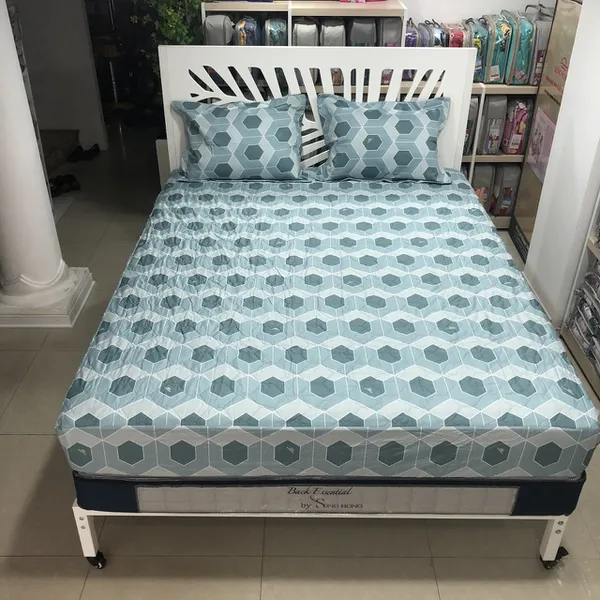 Bộ ga chun BC23 079