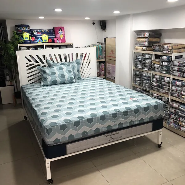 Bộ ga chun BC23 079