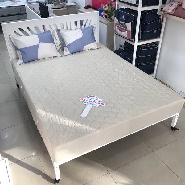 Bộ ga chun BC23 083