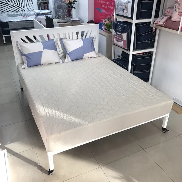 Bộ ga chun BC23 083