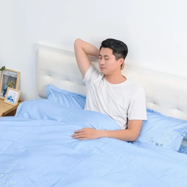Bộ chăn gối cao cấp Sông Hồng SH_UC23 036