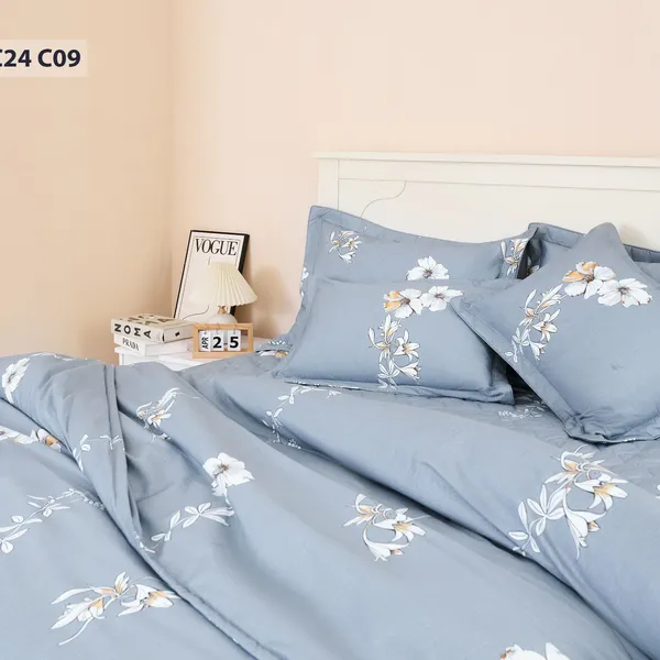 Bộ sản phẩm Sông Hồng SH_BC24 C09