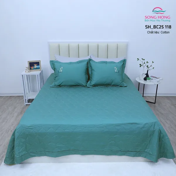 Bộ sản phẩm Sông Hồng SH_BC25 118