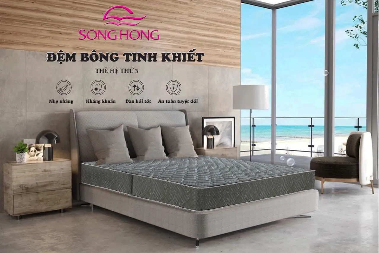 Đệm Bông tinh khiết Sông Hồng TH3