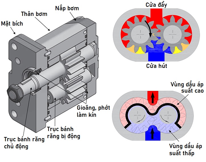 Sơ đồ cấu tạo và nguyên lý bơm bánh răng ăn khớp ngoài