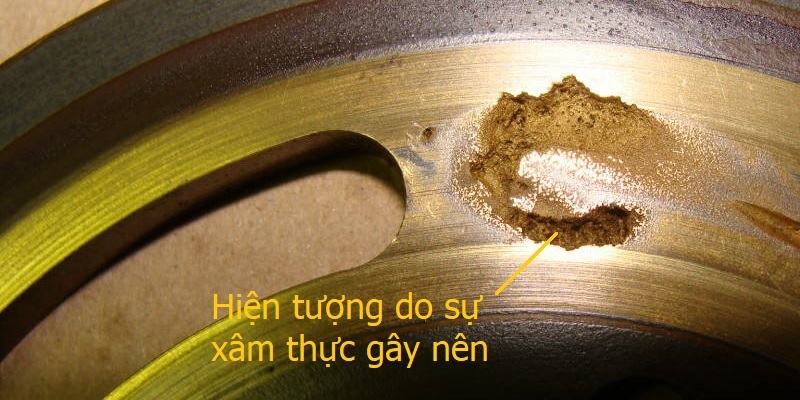 Dấu hiệu của hiện tượng xâm thực