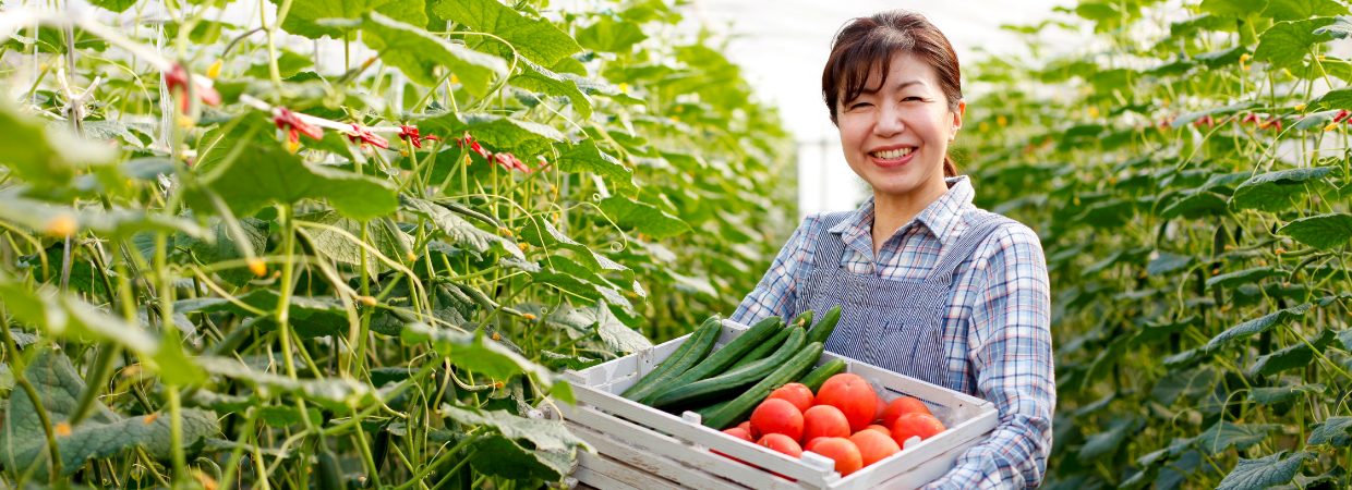 Các thách thức nông nghiệp đang đối mặt Các thách thức nông nghiệp đang đối mặt