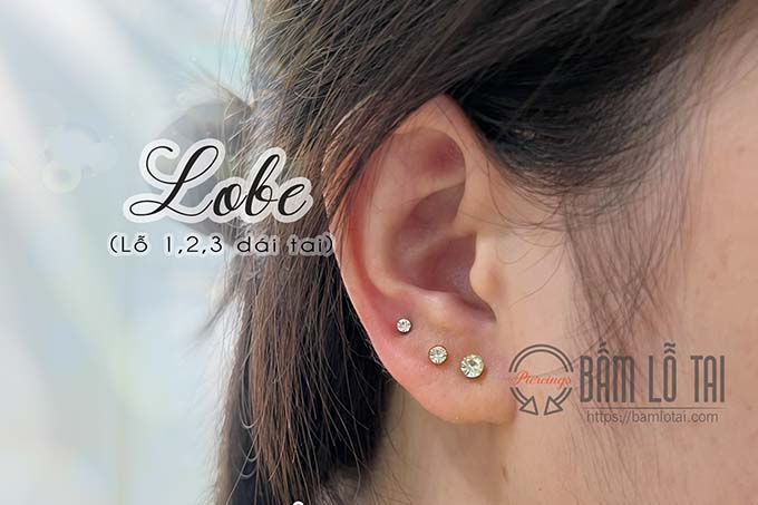 Xỏ khuyên lỗ lobe