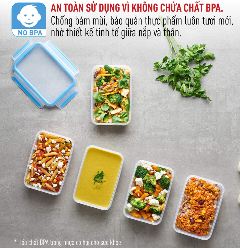 Hộp nhựa Masterseals Fresh Hộp nhựa Masterseals Fresh