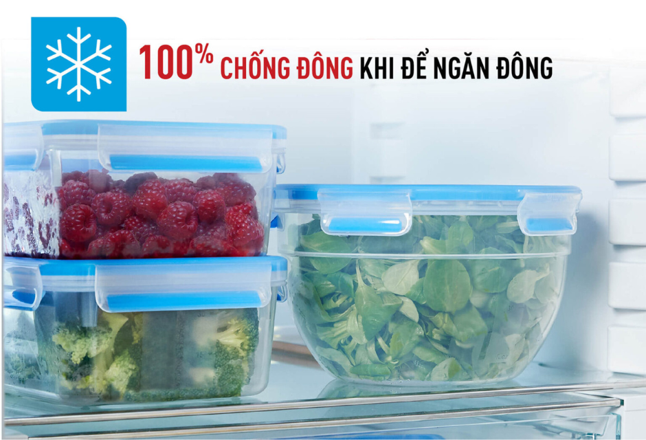 Hộp nhựa Masterseals Fresh Hộp nhựa Masterseals Fresh